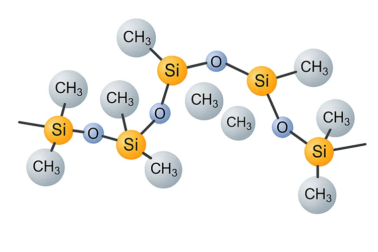 The Structure of Silicone Rubber